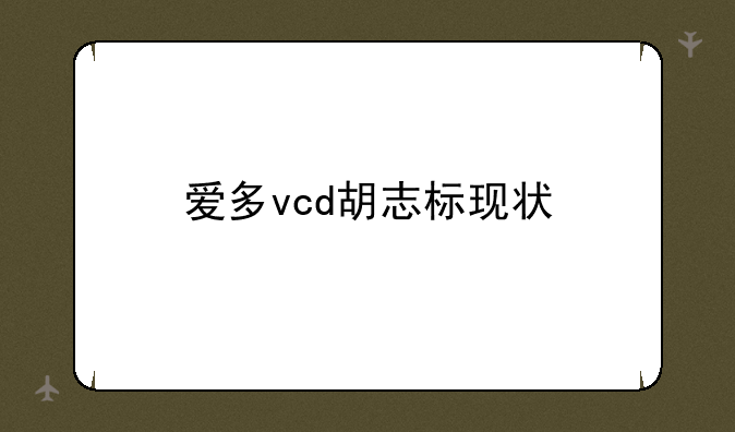 爱多vcd胡志标现状