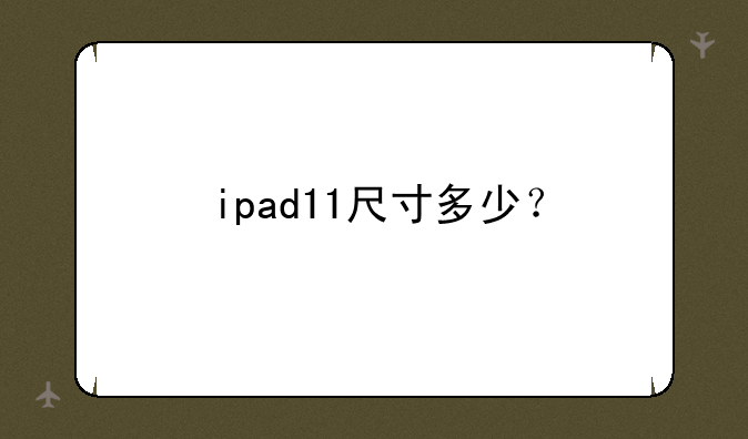 ipad11尺寸多少？