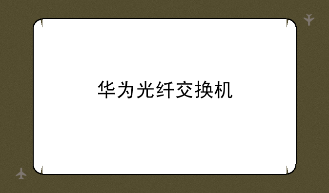 华为光纤交换机