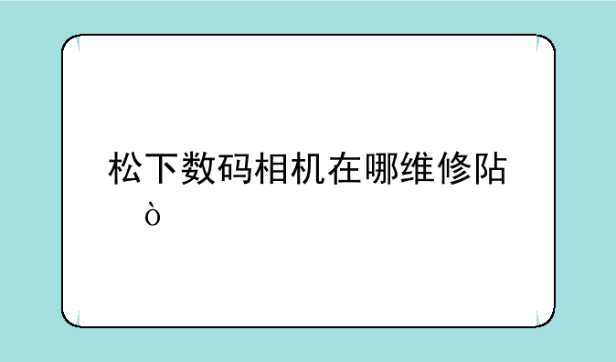 松下数码相机在哪维修阿？