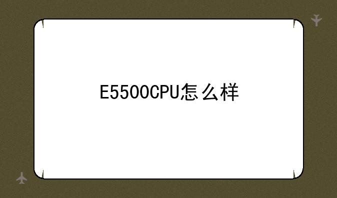 E5500CPU怎么样