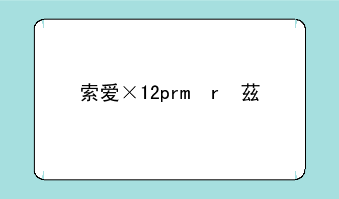 索爱×12pro参数