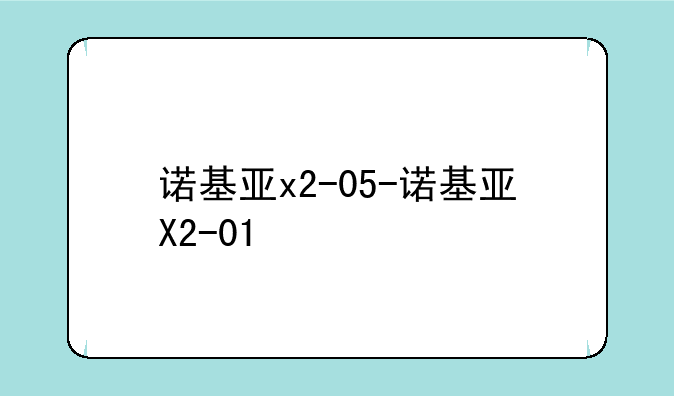 诺基亚x2-05-诺基亚X2-01