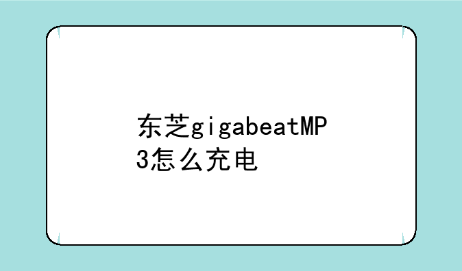 东芝gigabeatMP3怎么充电
