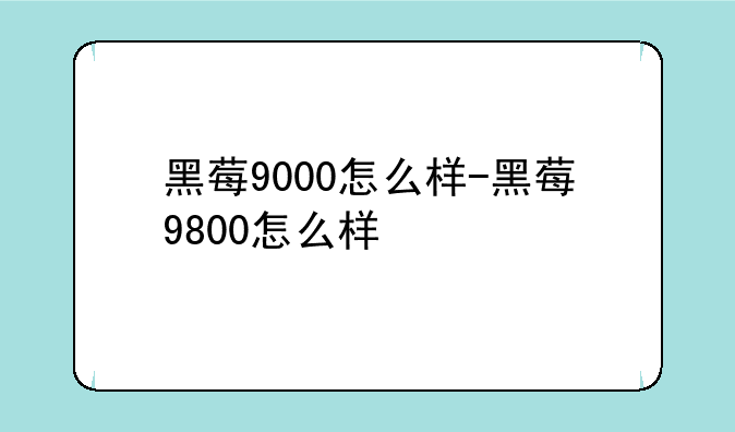 黑莓9000怎么样-黑莓9800怎么样