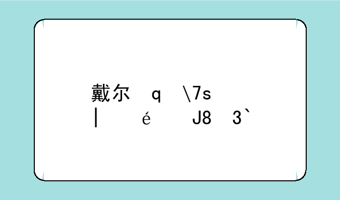 戴尔笔记本电脑包——戴尔游匣电脑包