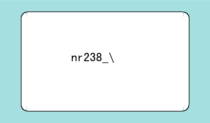 nr238__NR238设置