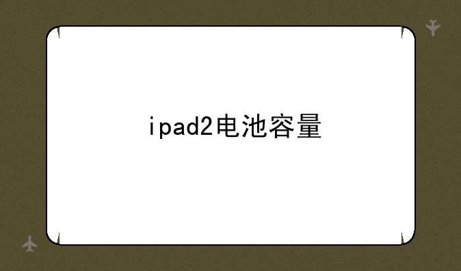 ipad2电池容量